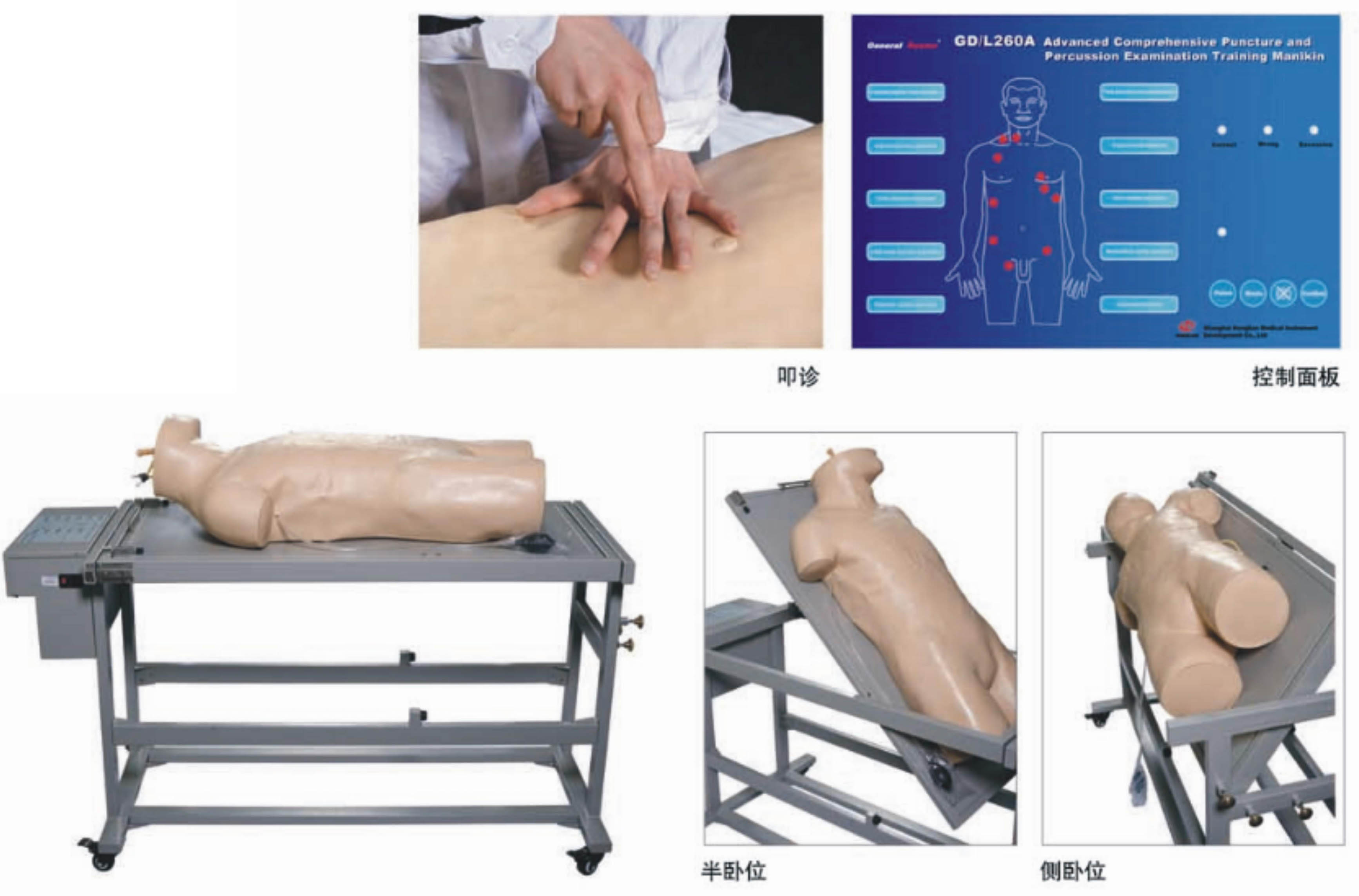 高级综合穿刺术与叩诊检查技能训练模拟人GD/L260A