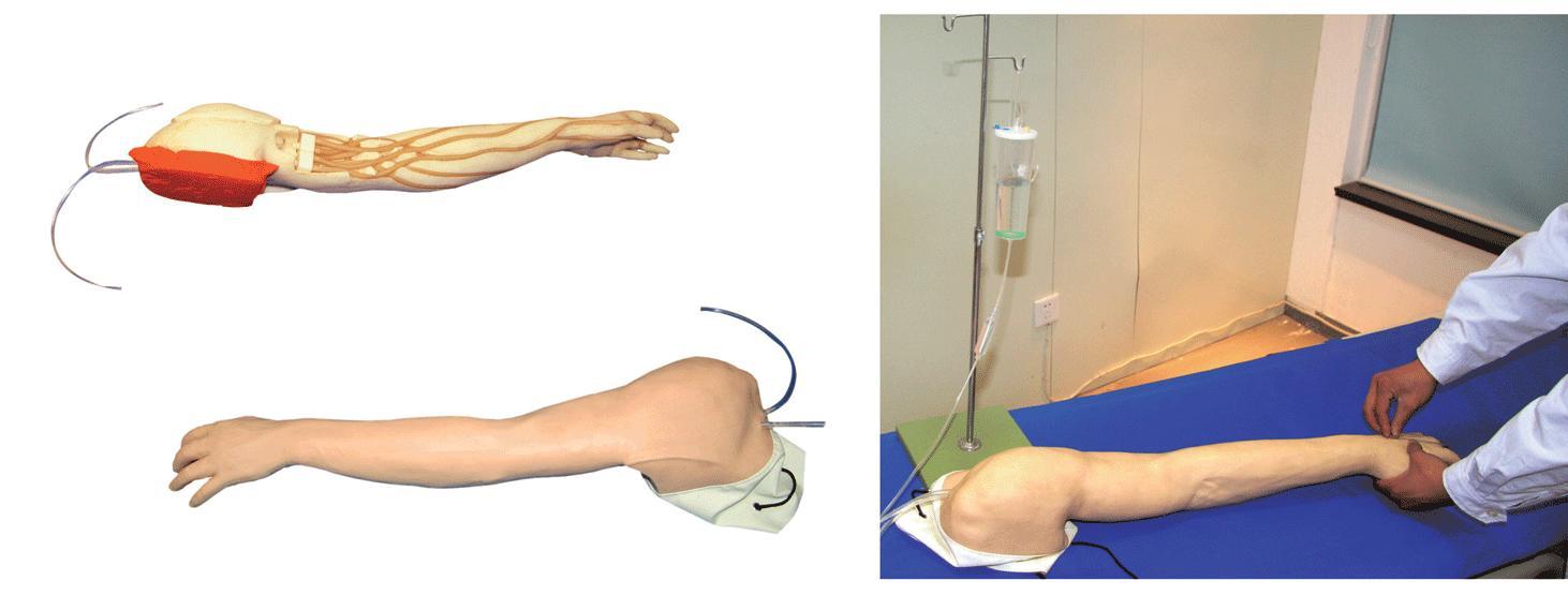 完整静脉穿刺手臂模型